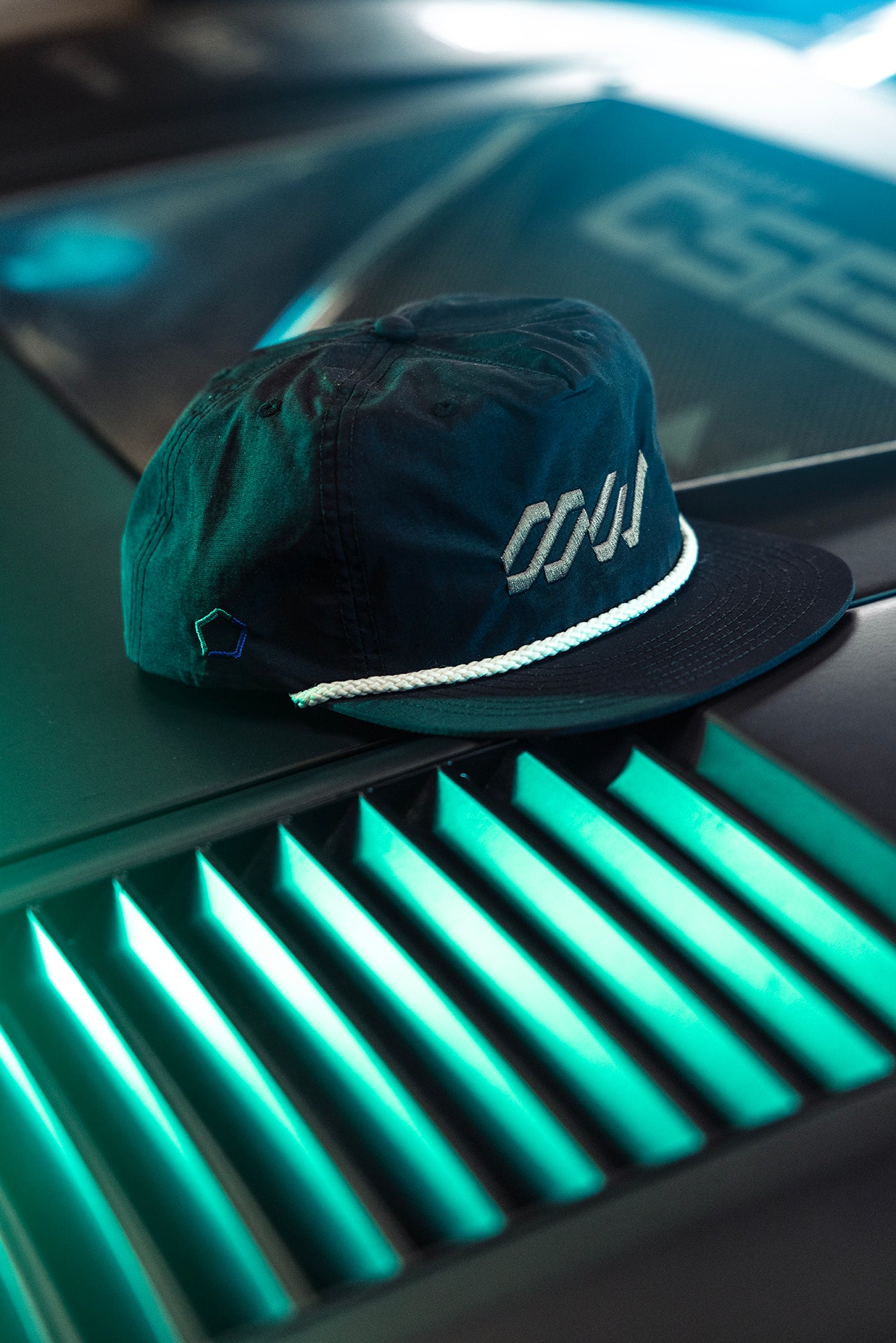The SW Snapback Hat